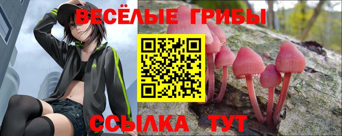 Псилоцибиновые грибы Psilocybe Берёзовский