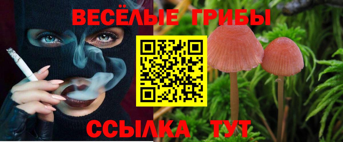 Псилоцибиновые грибы Cubensis  Галлюциногенные грибы Cubensis  Вход с VPN  Берёзовский 
